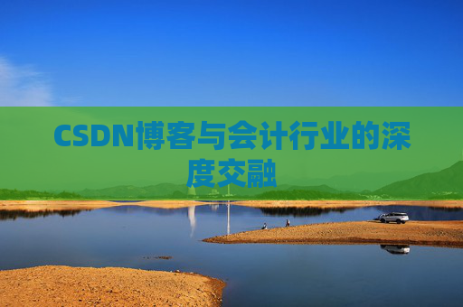 CSDN博客与会计行业的深度交融